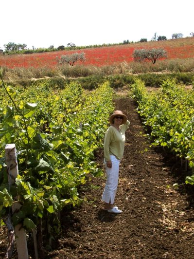 peggy-poppies-vines