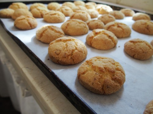 Harscha Moroccan Cookies