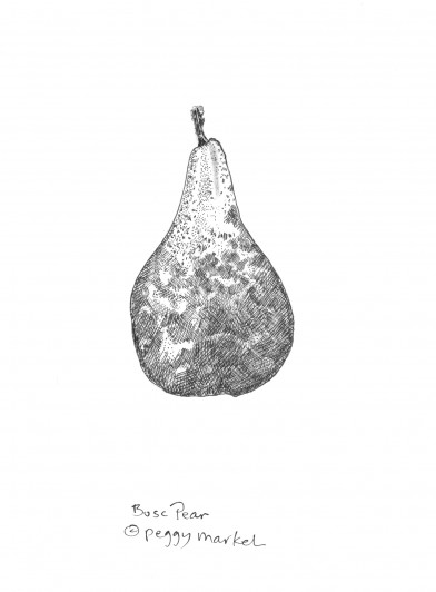 Pear by Peggy Markel