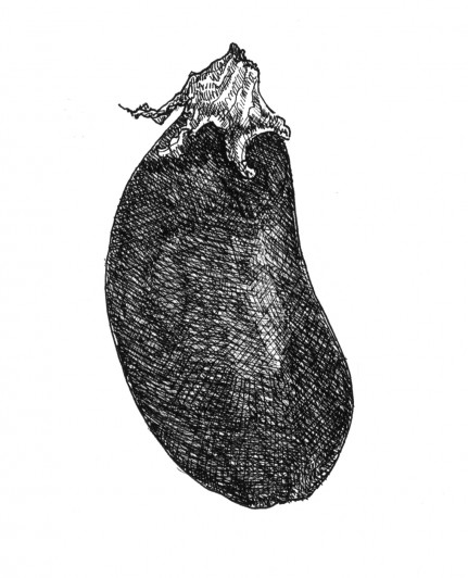 Illustration eggplant