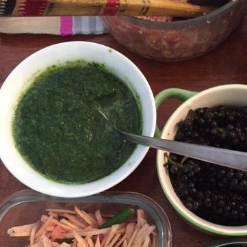 Coriander Cilantro Chutney India Culinary Adventure