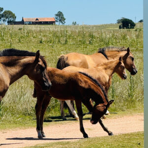 9EB377F1-5E80-4C31-A033-1439BBA5A402