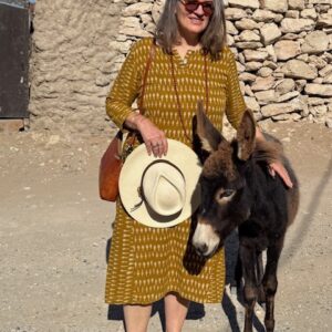 peggy w donkey morocco for home page